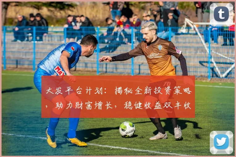 大发平台计划：揭秘全新投资策略，助力财富增长，稳健收益双丰收，不容错过