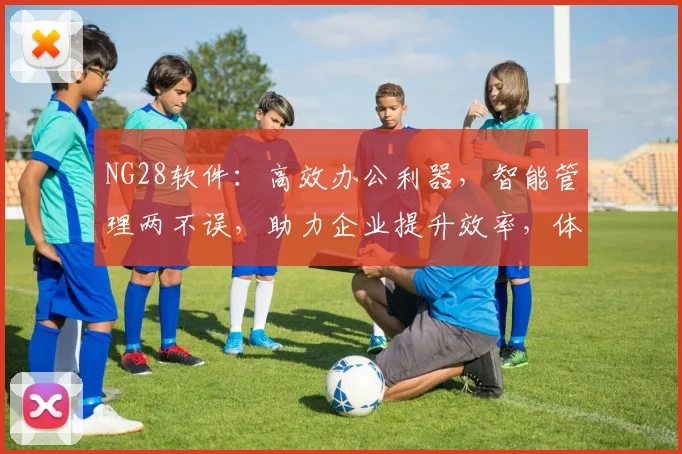 NG28软件：高效办公利器，智能管理两不误，助力企业提升效率，体验全新办公体验